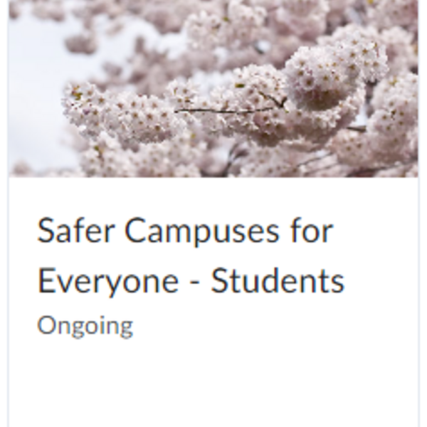 Safer Campuses for Everyone - Students VIULearn