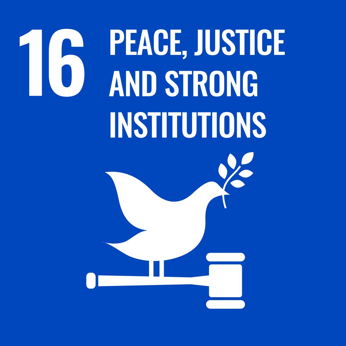 16. Peace, Justice and Strong Institutions