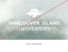 white VIU logo over pale background