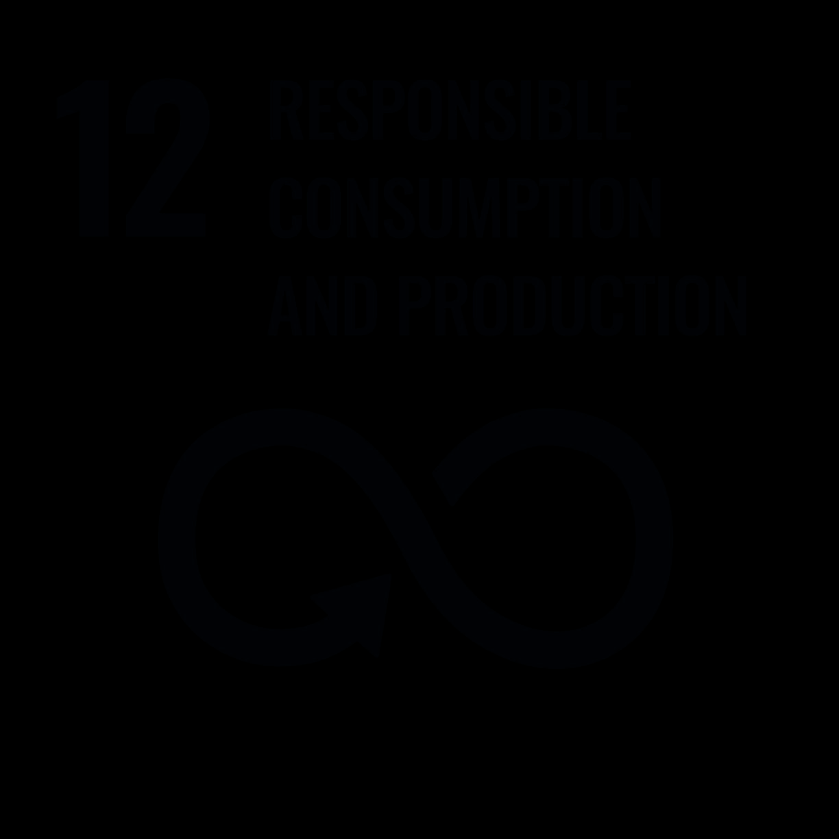 SDG 12 Responsible consumption and production