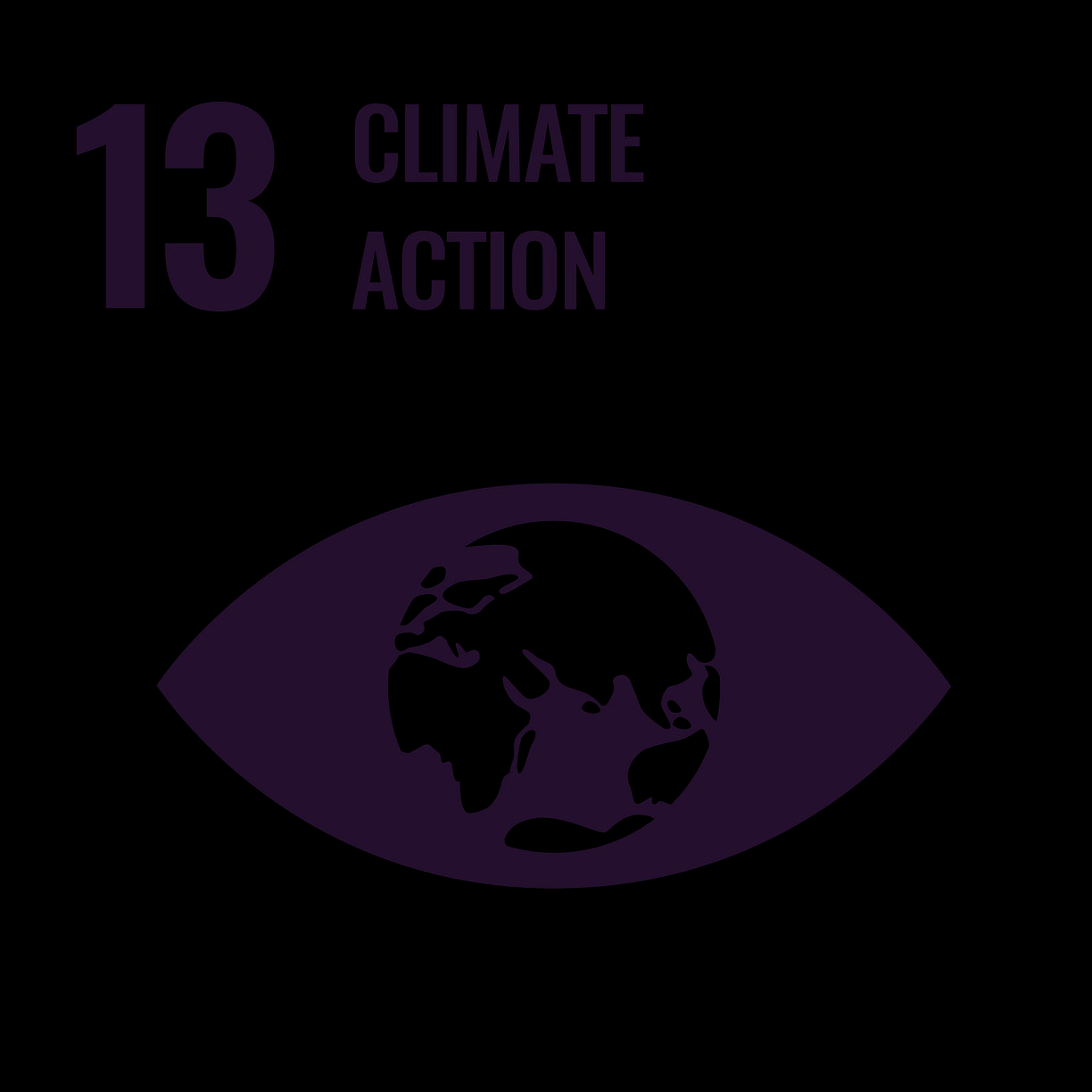 SDG 13 Climate Action