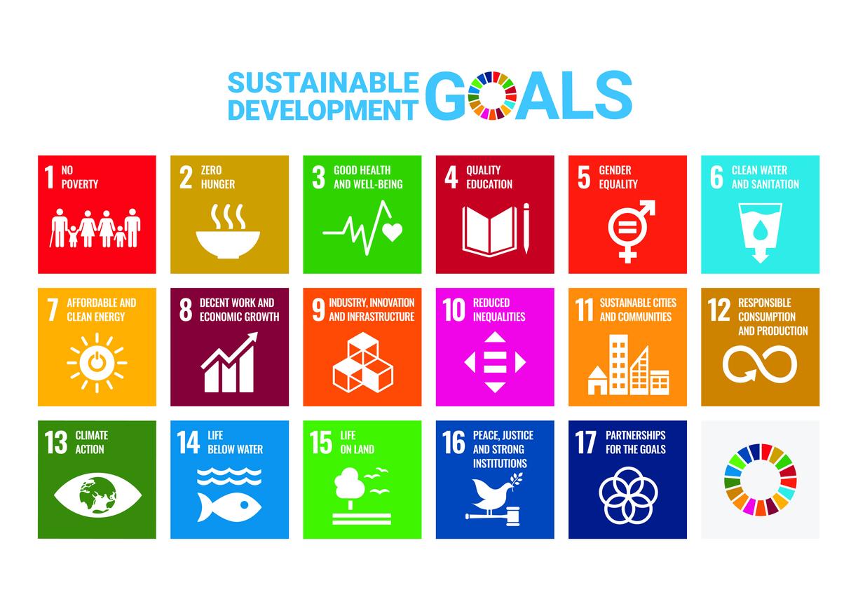 SDG poster