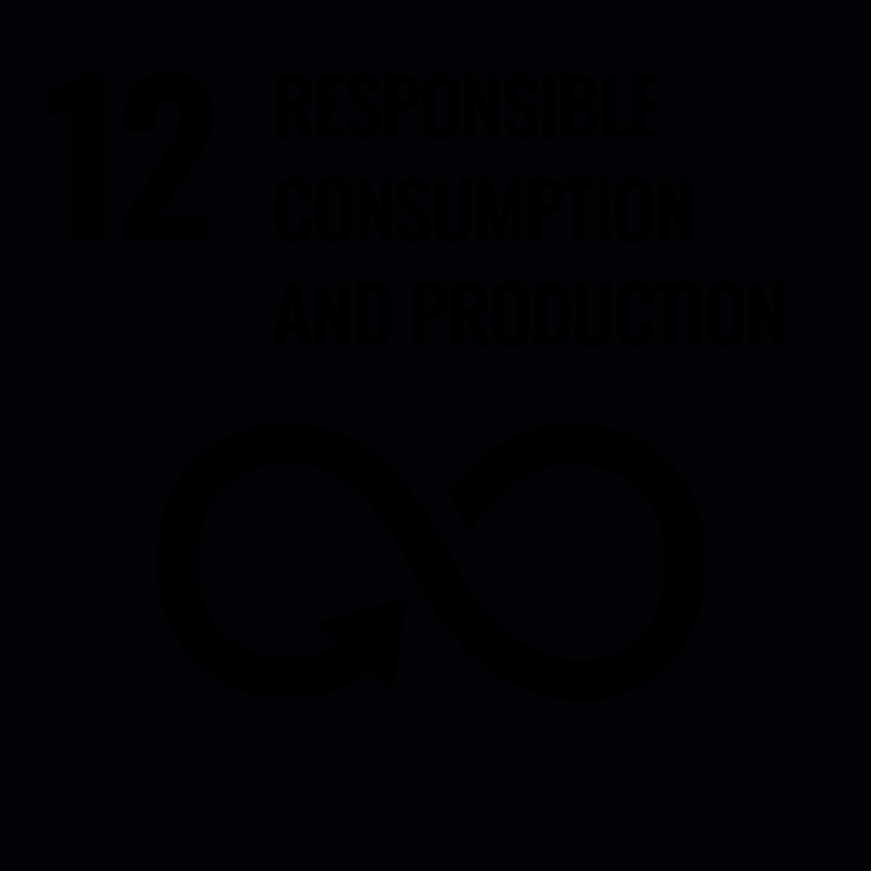 12. Responsible Consumption and Production