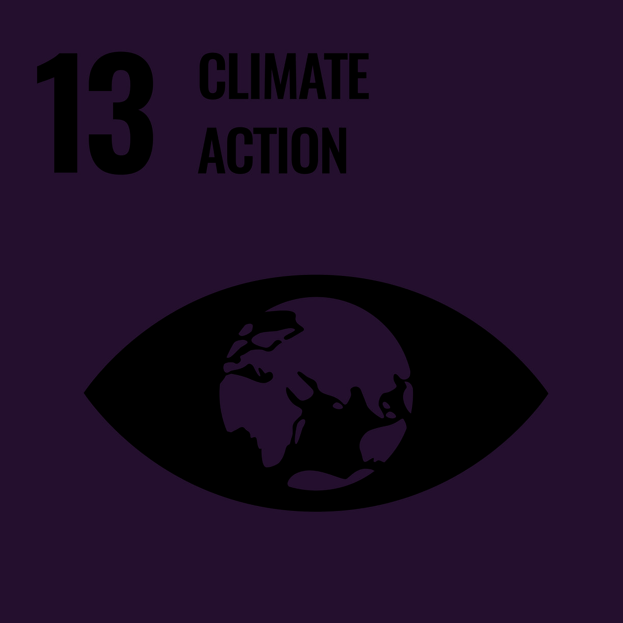 13. Climate Action