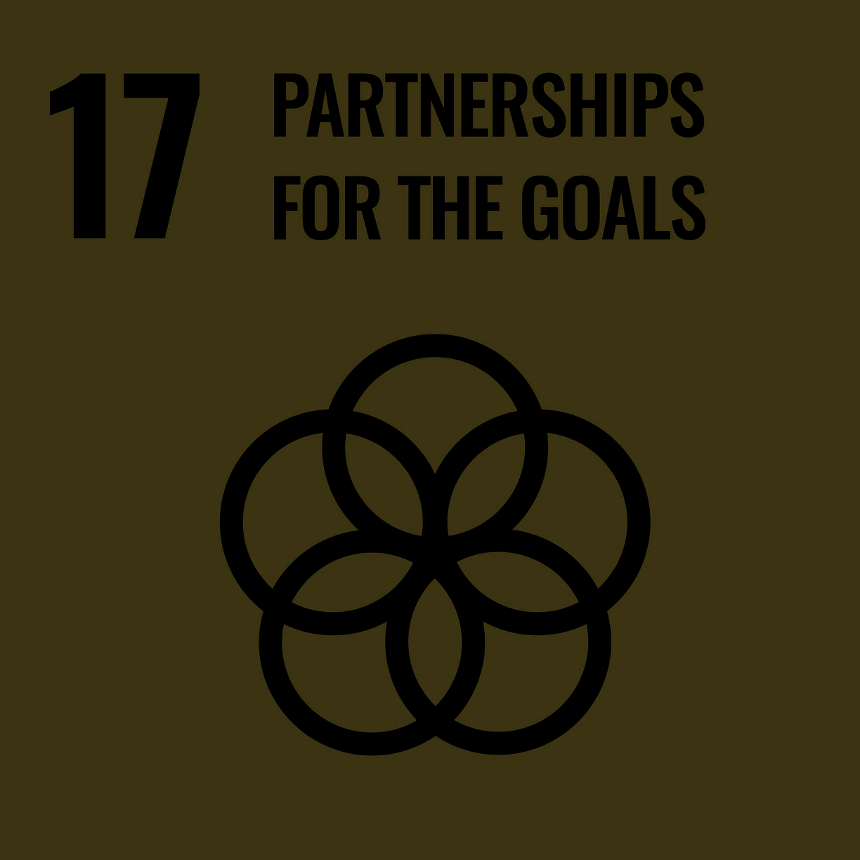 17. Partnerships for the Goals